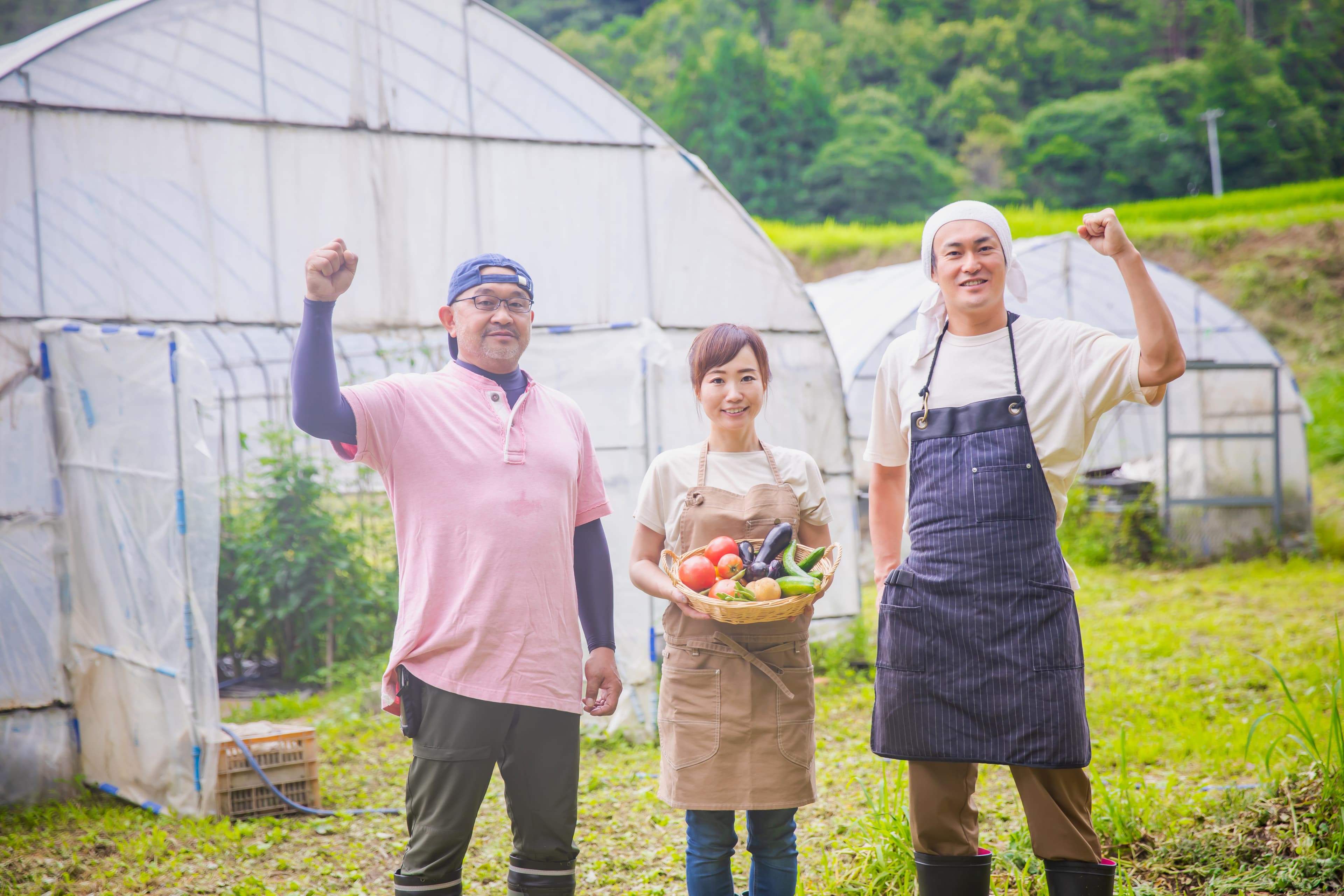 岡崎代表が野菜を目利きする様子